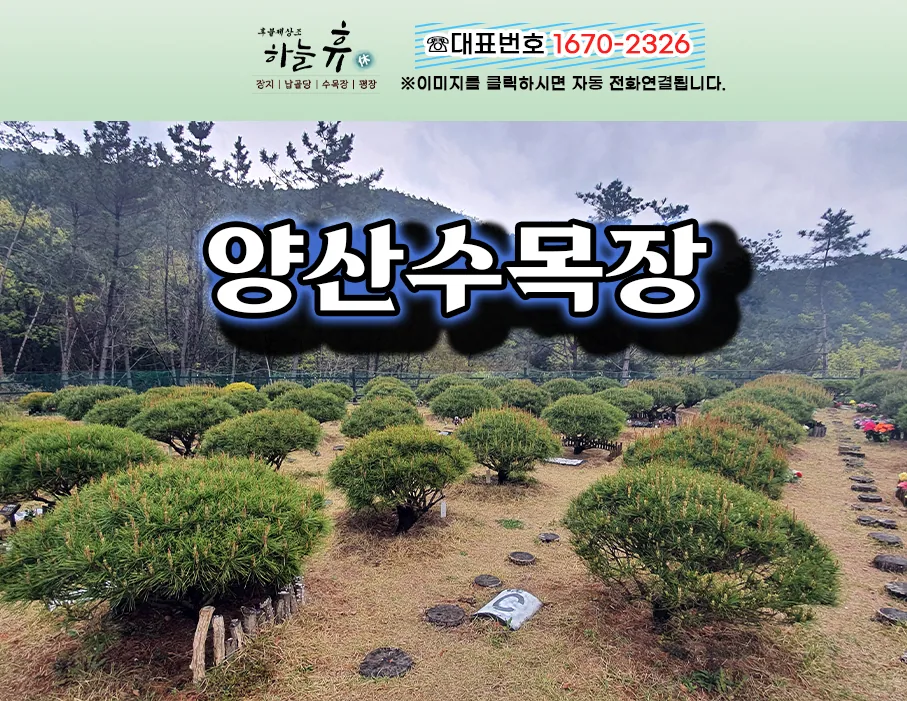 마음이 편해지는 양산수목장 찾으실 때 추천드립니다