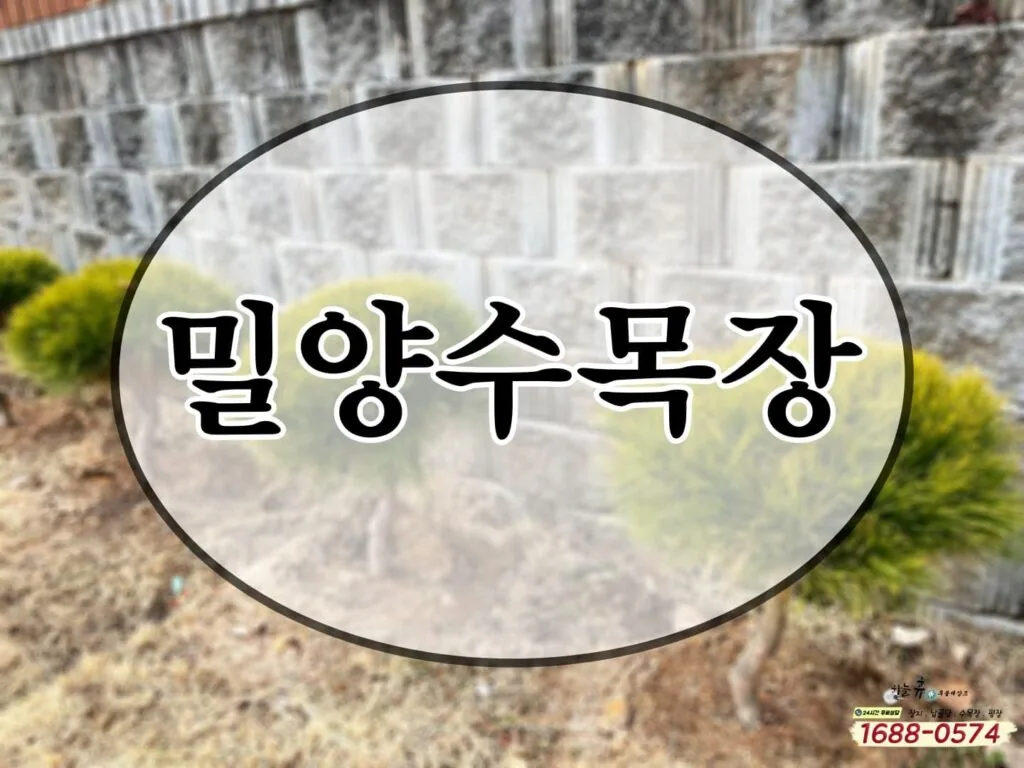 자연과 함께 편히 잠들 수 있는 공간, 수목장