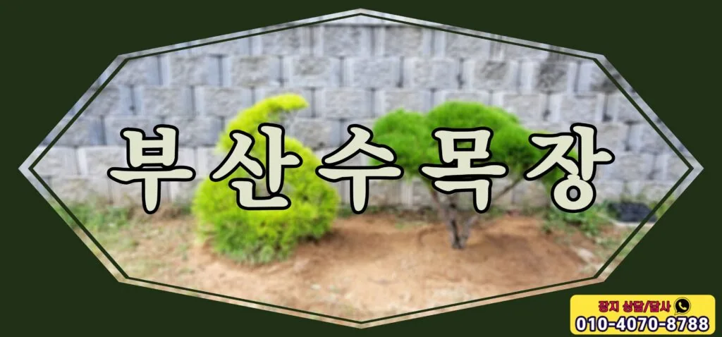 다양한 종류의 수목이 있는 부산수목장