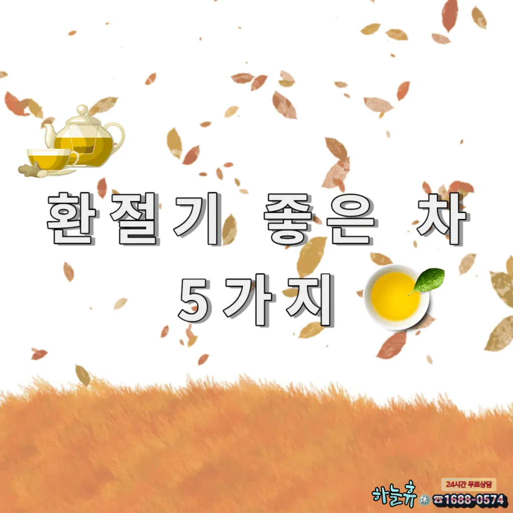 환절기 비염 감기 기침에 좋은 차 5가지