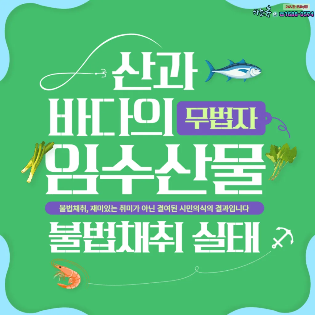 산과 바다의 임수산물 불법채취 실태