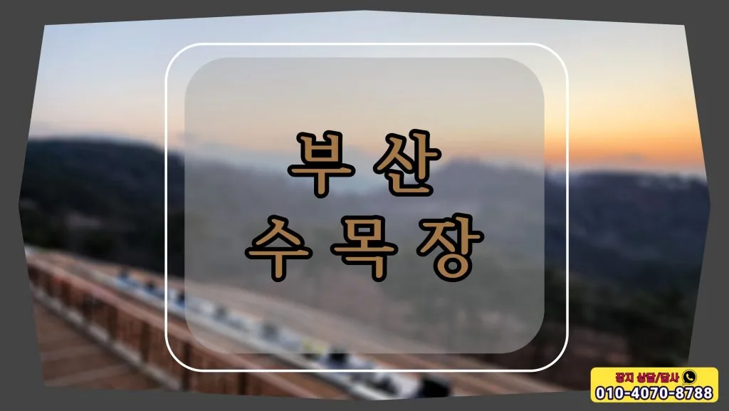고인과 가족들의 유일한 만남의 공간 부산 수목장