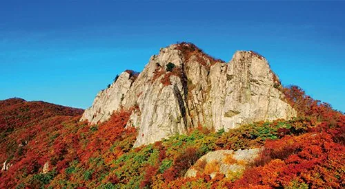 울산 가지산 봄 풍경