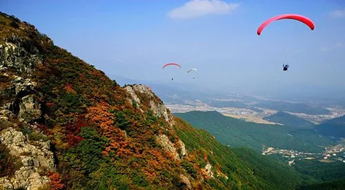울산 태화강 국가정원 풍경