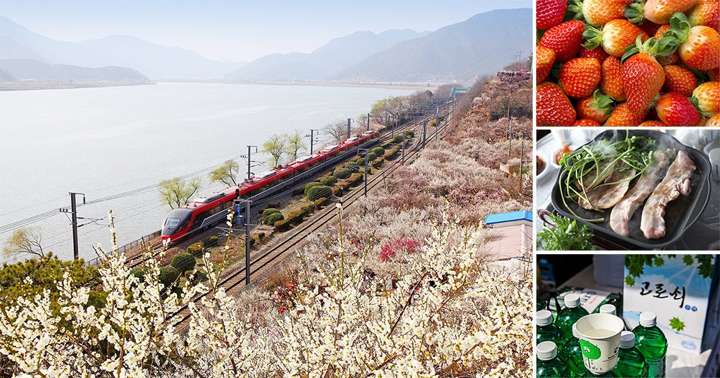 봄철 사찰여행 양산 통도사, 천천히 걷기 좋은 이유 1 양산 통도사 대표 전경