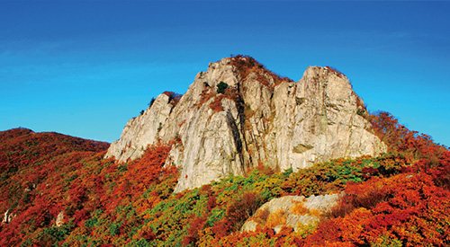 울산 태화강 봄 풍경