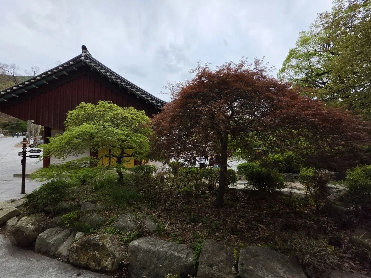동화사 경내 풍경 1