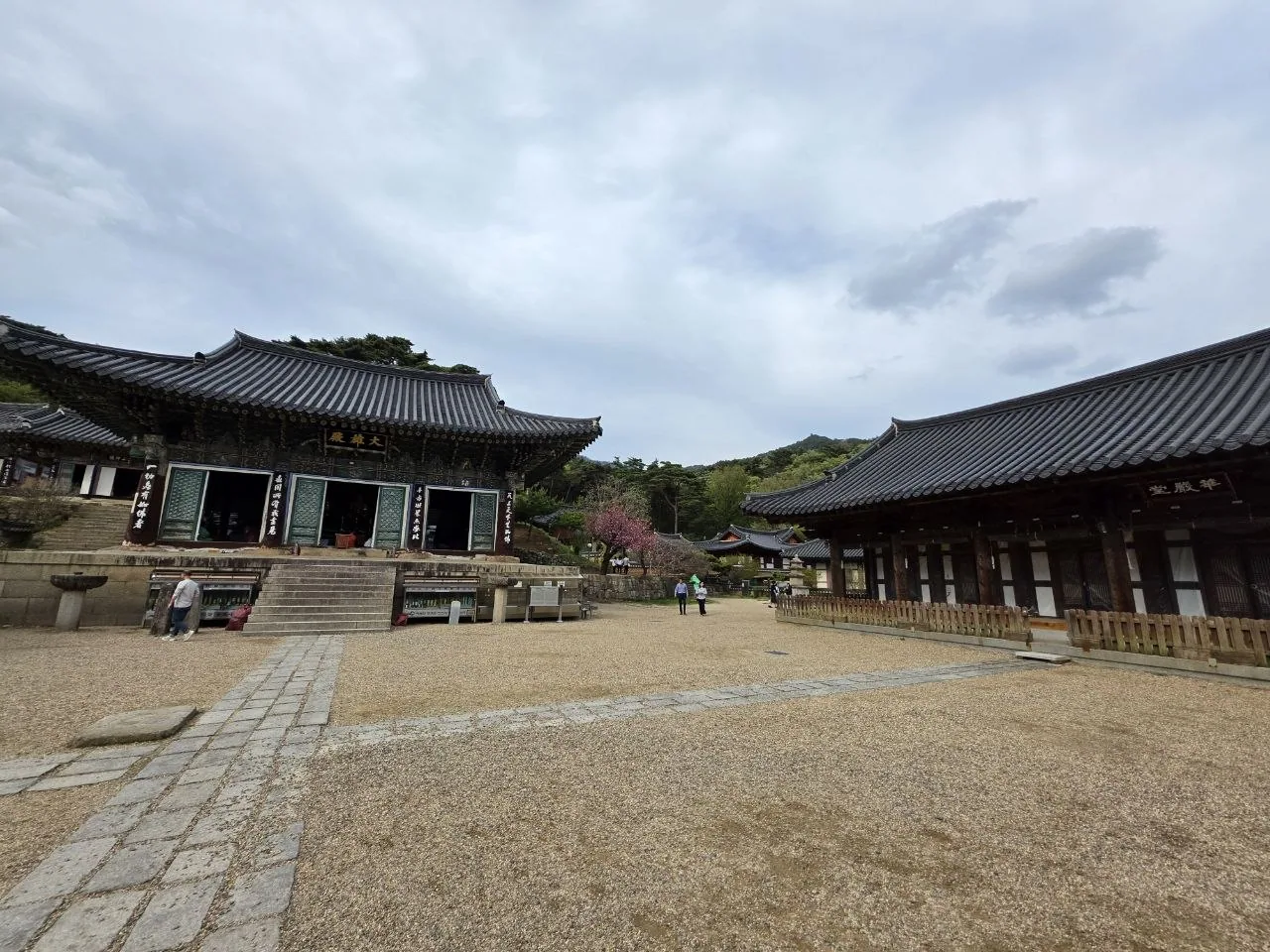 동화사 대웅전 마당 전경 2