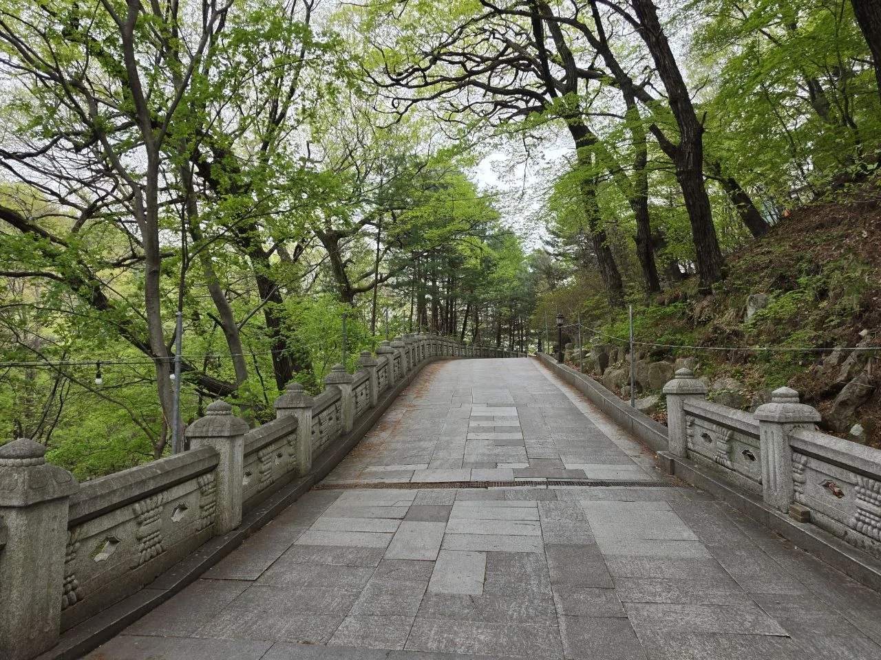팔공산 약사여래 통일대불 오르는 길 초입 전경