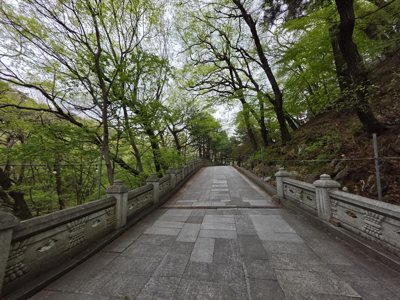 팔공산 약사여래 통일대불 산길 접근 풍경