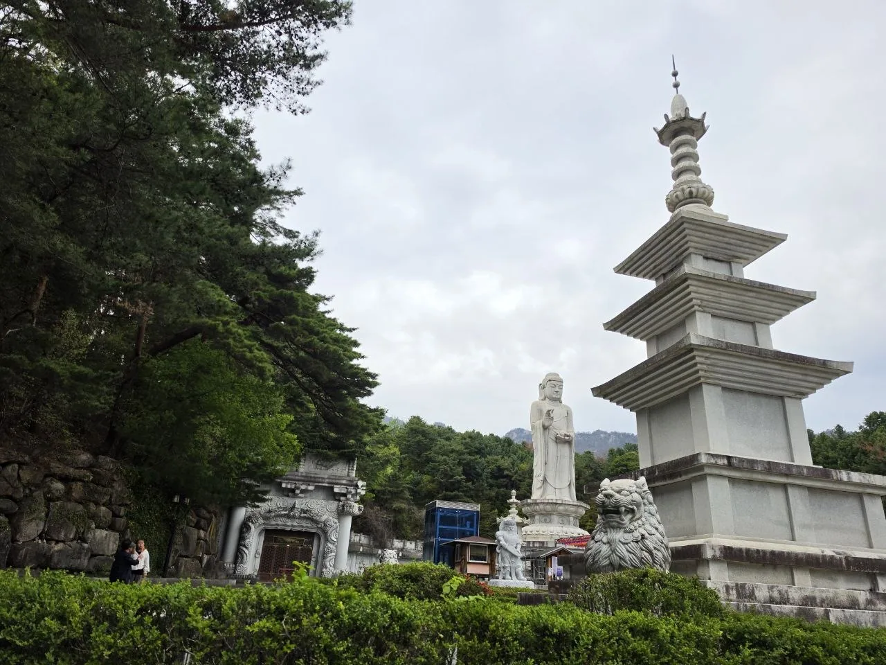 팔공산 약사여래 통일대불 직접 걸어 본 동선과 현장 분위기