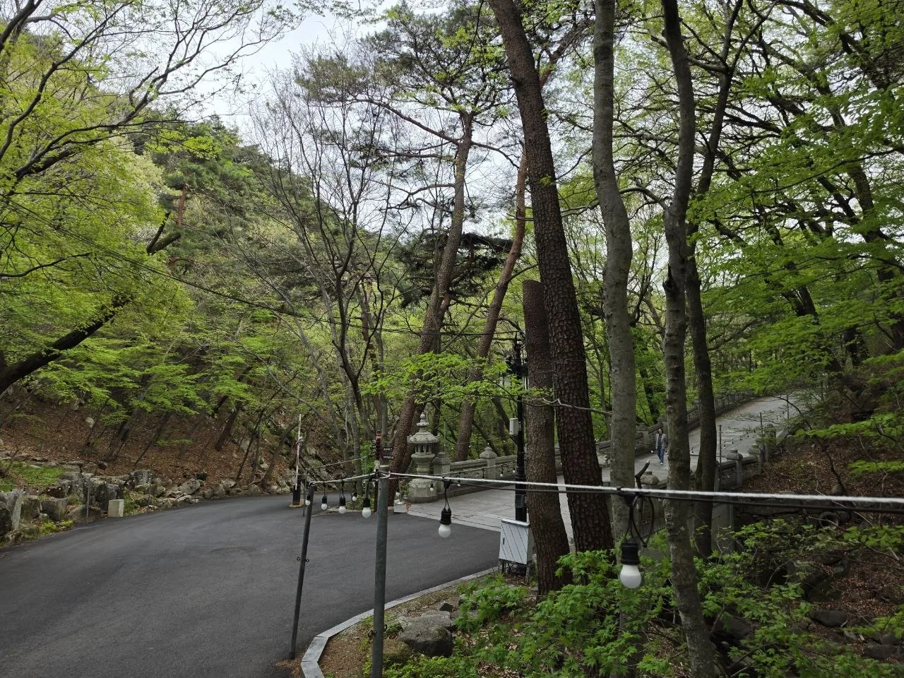 팔공산 약사여래 통일대불 마무리 풍경