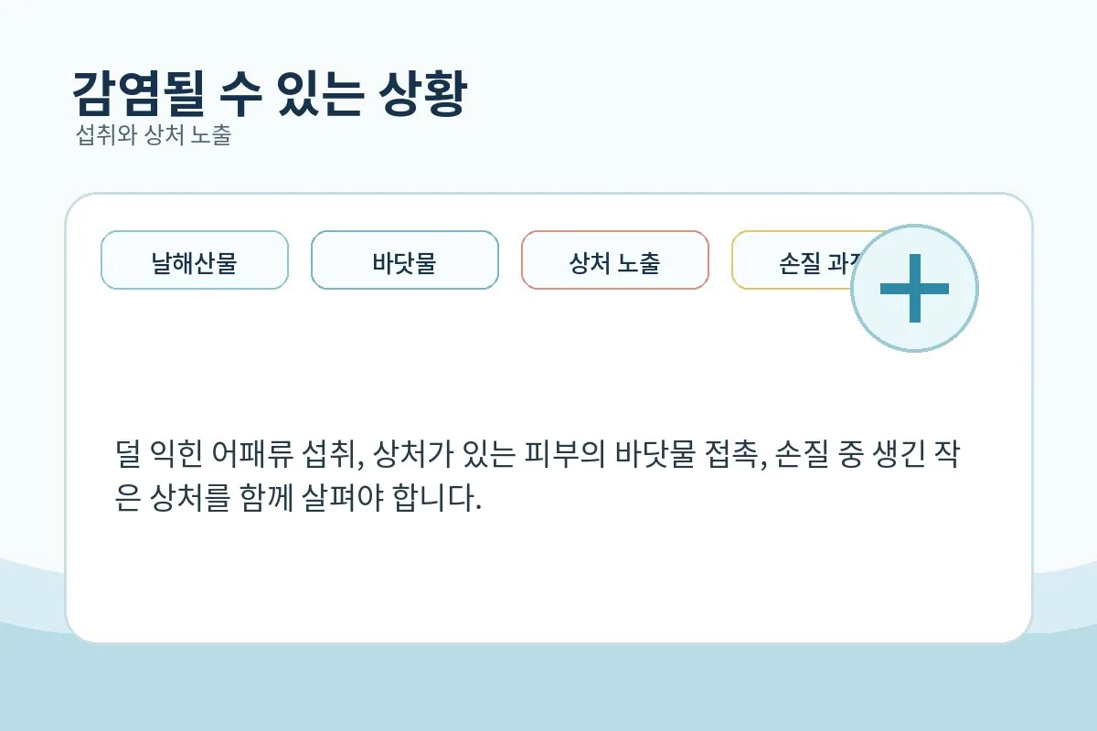 해산물 섭취와 상처의 바닷물 노출을 보여주는 이미지
