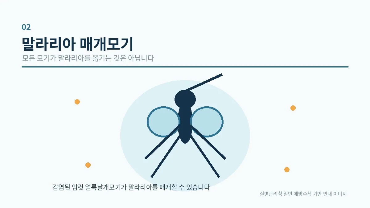 말라리아를 매개할 수 있는 얼룩날개모기