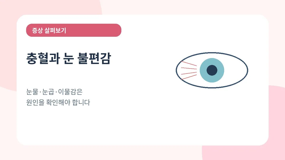 충혈과 눈물 눈곱 이물감 등 눈 불편감을 확인하는 안내 이미지