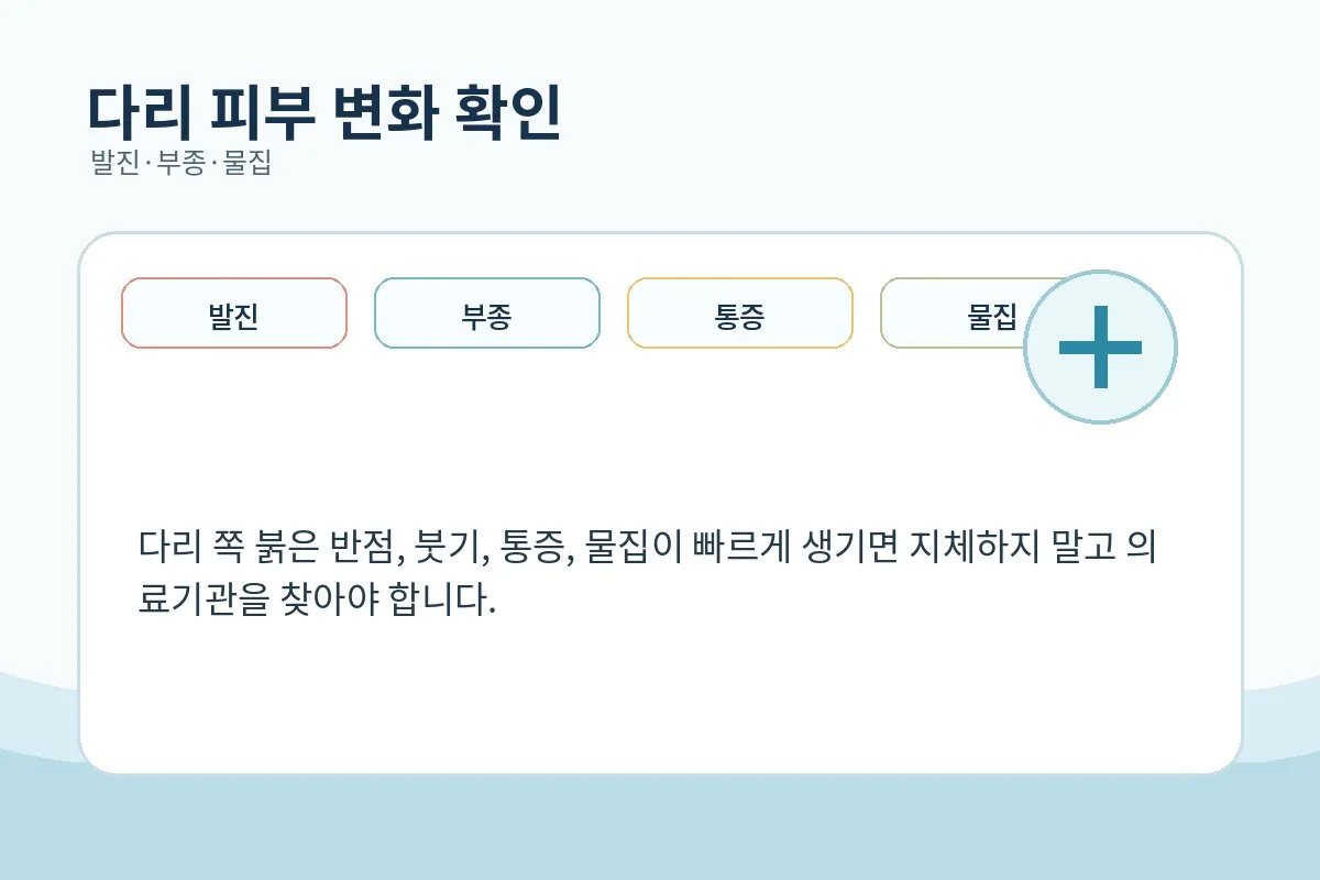 다리 발진과 부종 등 피부 변화를 설명하는 이미지