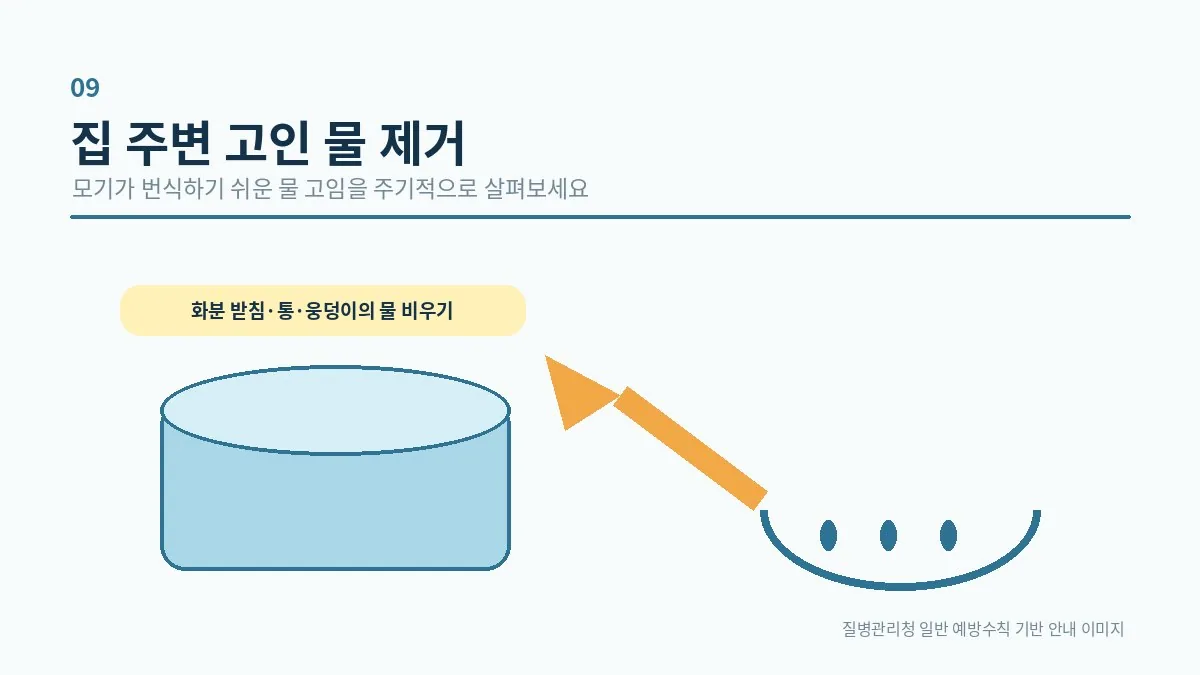집 주변 고인 물을 비우는 예방 행동