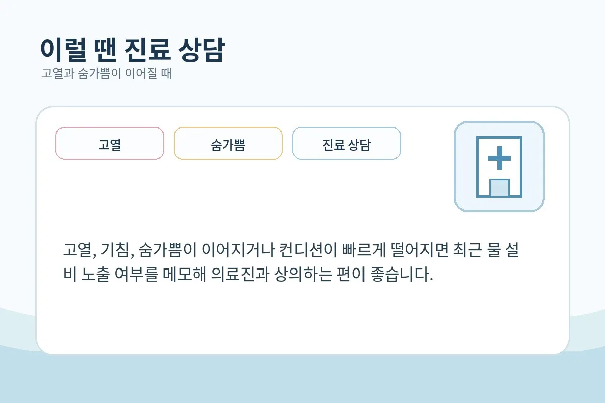 고열과 기침, 숨가쁨이 이어질 때 상담을 생각하는 장면