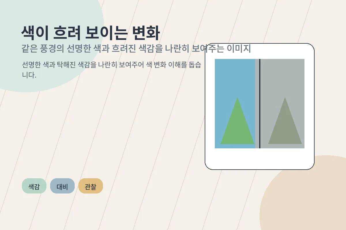 같은 풍경의 선명한 색과 흐려진 색감을 나란히 보여주는 이미지