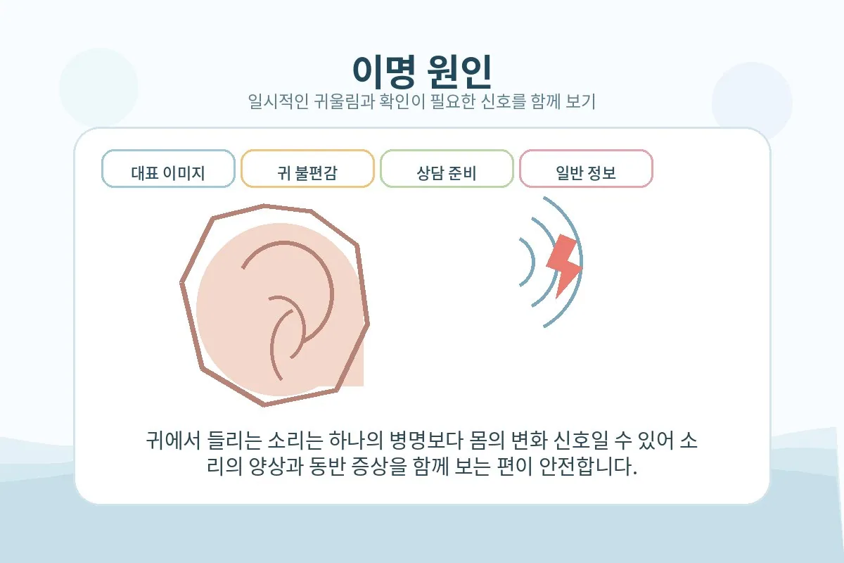 귀 불편감과 확인 포인트를 설명하는 대표 이미지