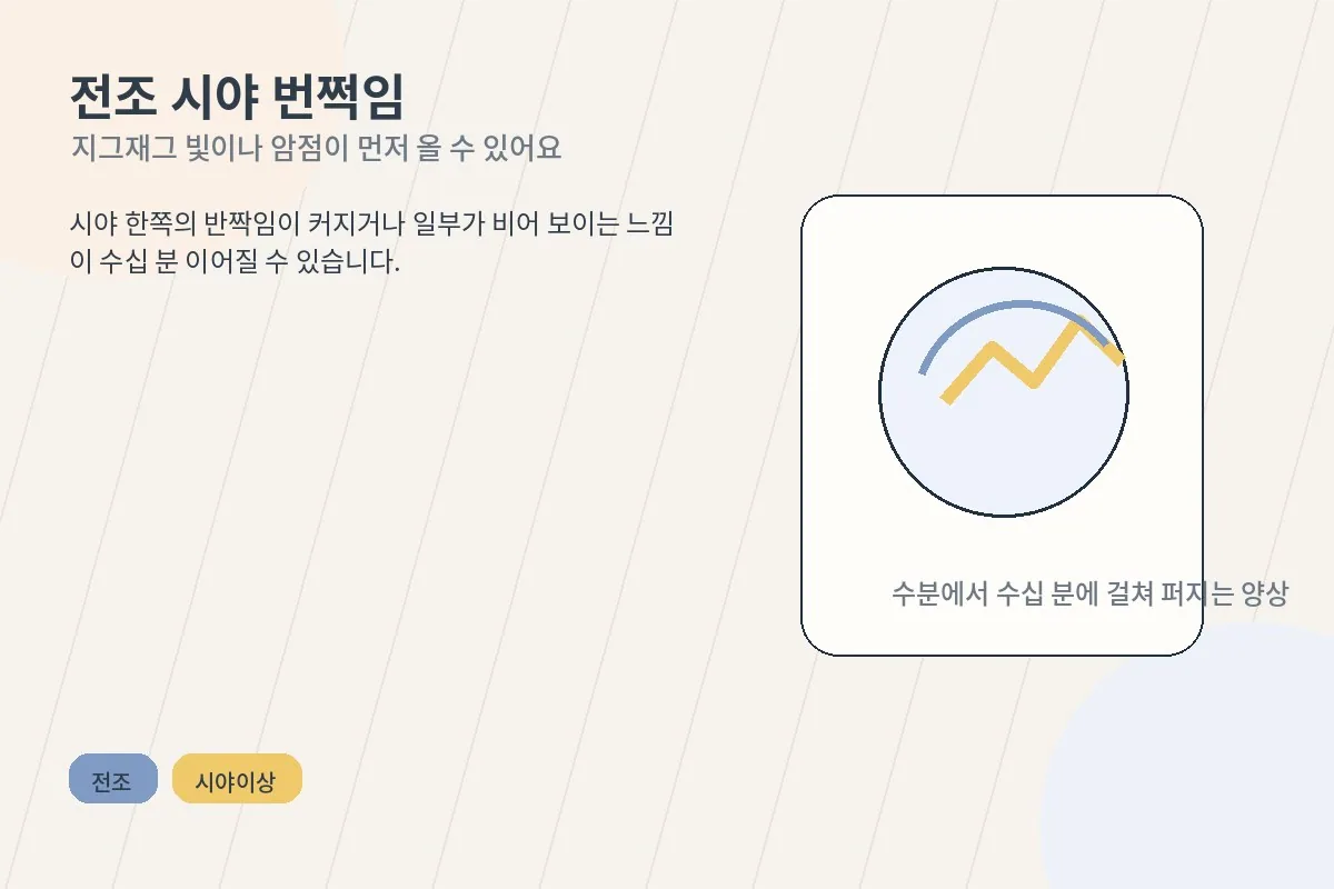 시야에 지그재그 빛이 보이는 전조 장면을 설명하는 이미지