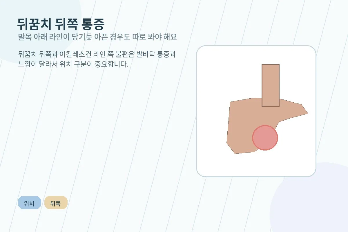 뒤꿈치 뒤쪽 통증 위치를 보여주는 안내 그림