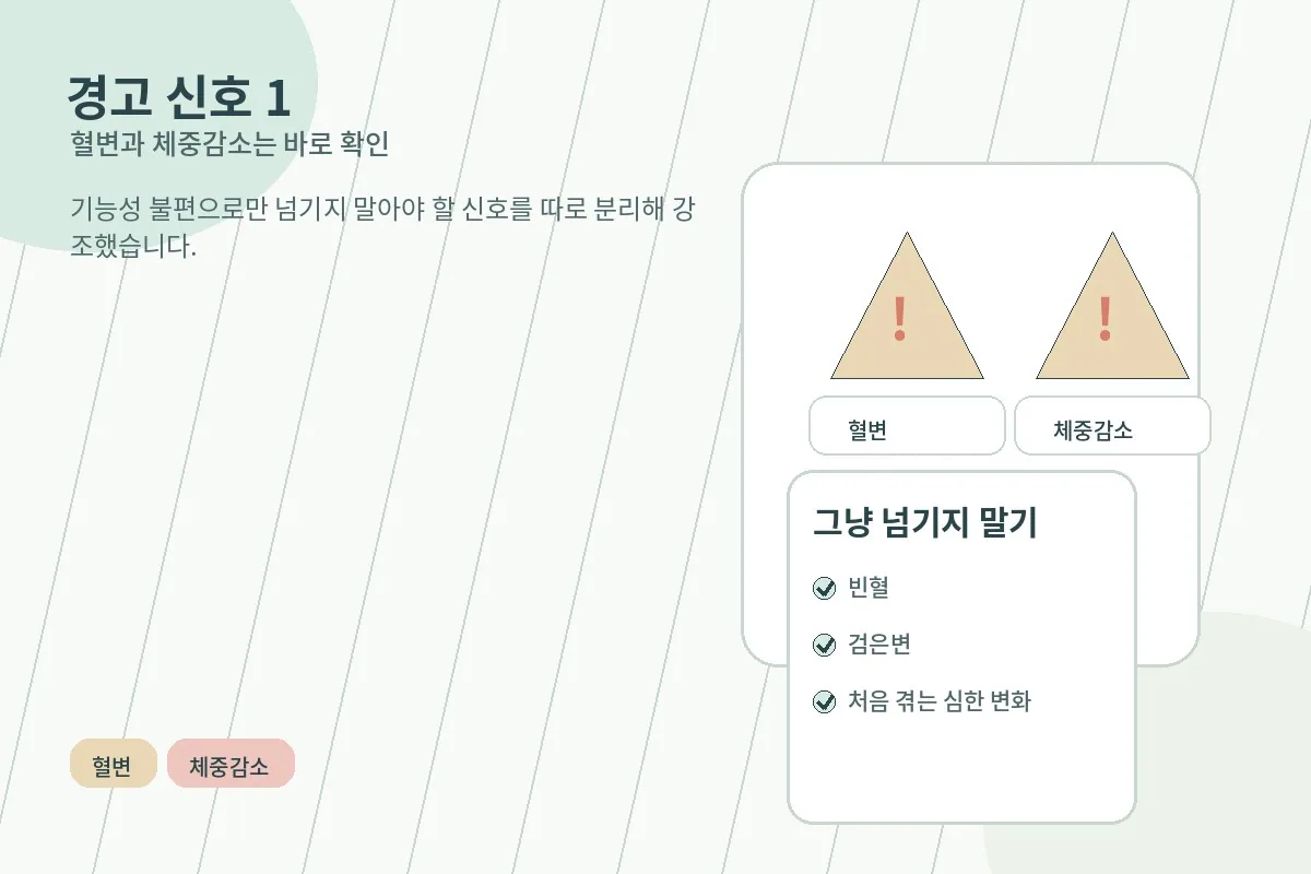 혈변과 체중감소처럼 병원 확인이 필요한 경고 신호를 강조하는 이미지