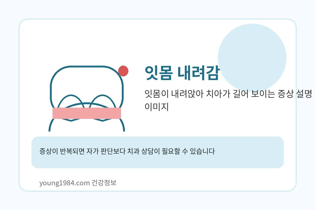 잇몸이 내려앉아 치아가 길어 보이는 증상 설명 이미지