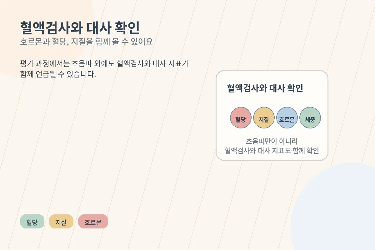 혈액검사와 대사 체크 항목을 설명하는 의료 안내 일러스트