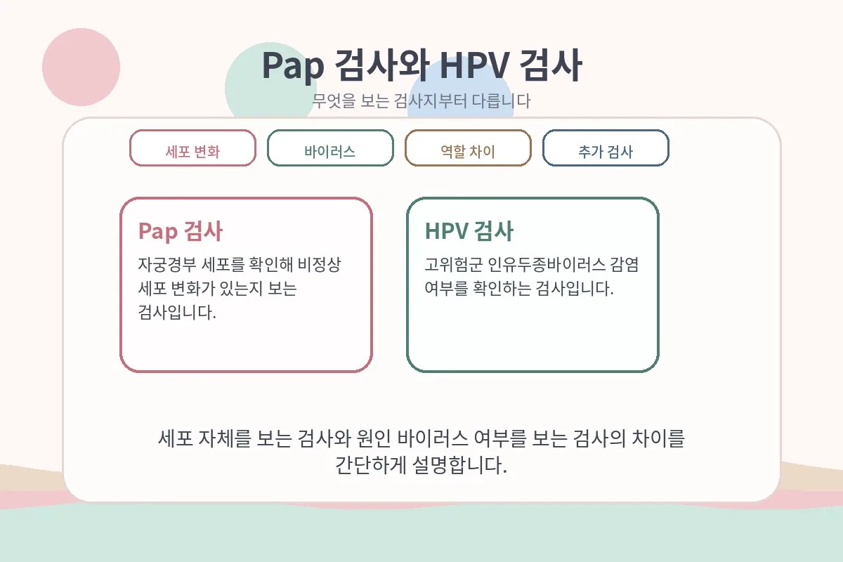 세포검사와 HPV 검사의 역할 차이를 좌우 카드로 보여주는 이미지