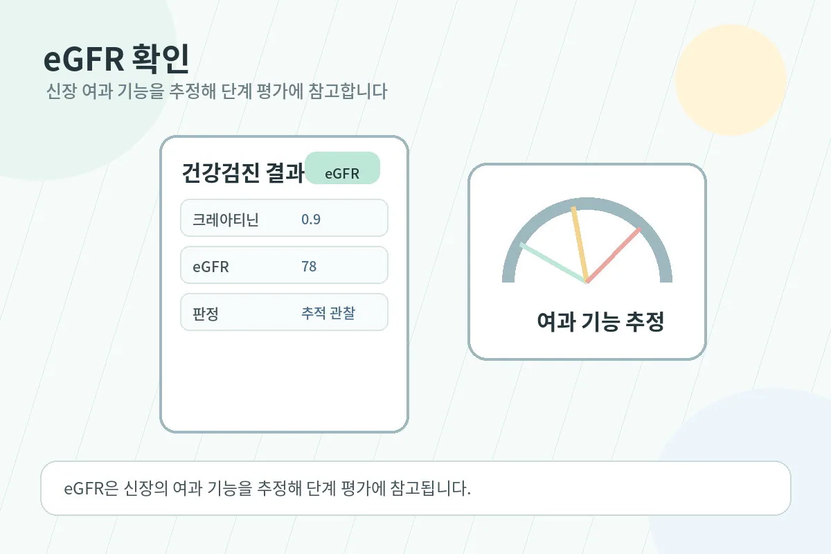 eGFR 수치가 표시된 건강검진 결과지