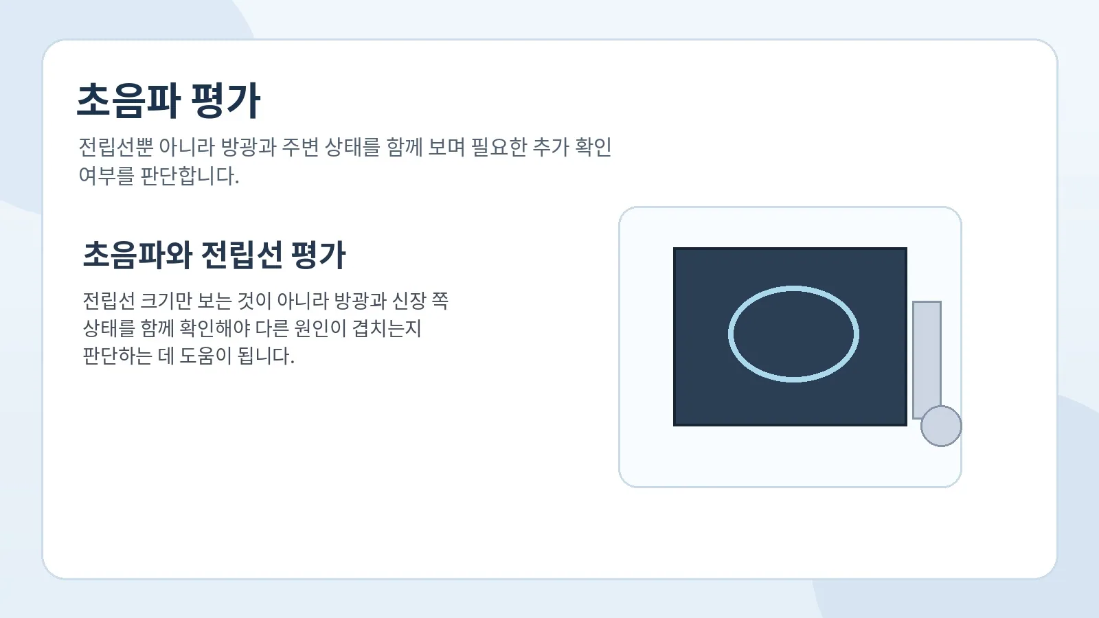 초음파로 전립선과 방광 상태를 확인하는 평가 장면