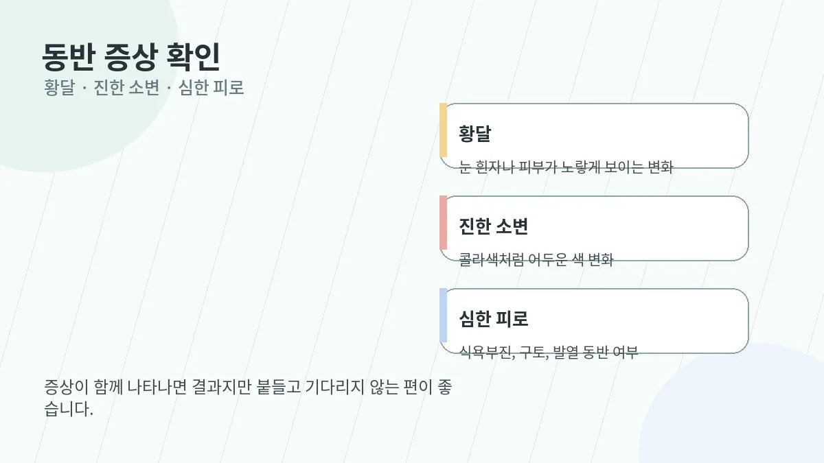 황달 소변색 피로 등 주의 증상을 설명하는 이미지