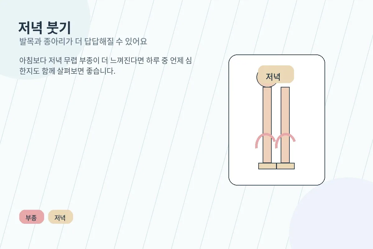 저녁 시간대 발목 주변이 약간 붓는 모습을 표현한 이미지