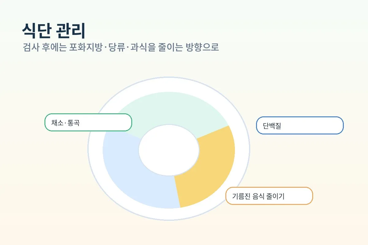 이상지질혈증 검사 후 채소 통곡 단백질 중심의 식단 관리를 설명하는 이미지