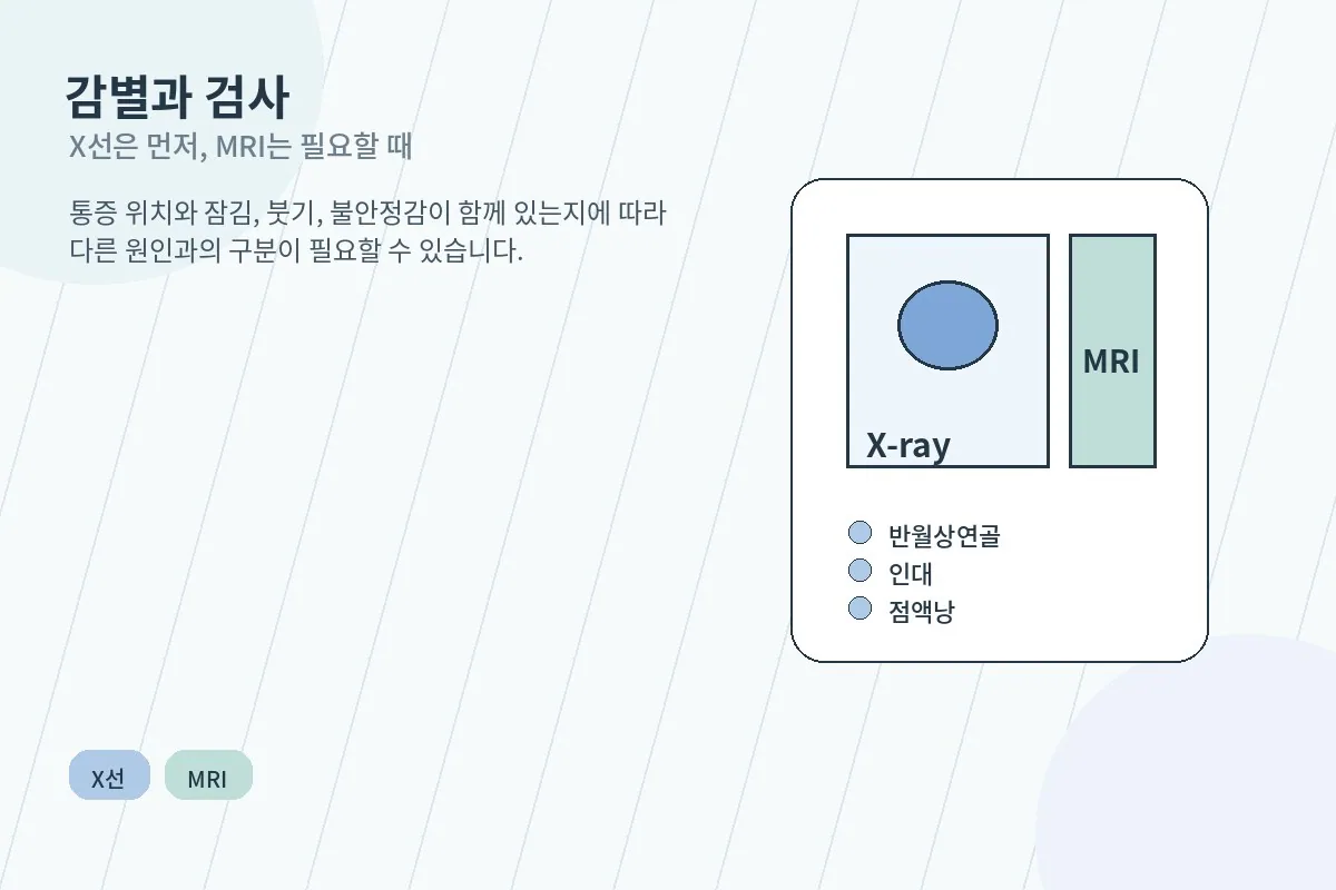 무릎 통증의 감별진단과 검사 방법 안내