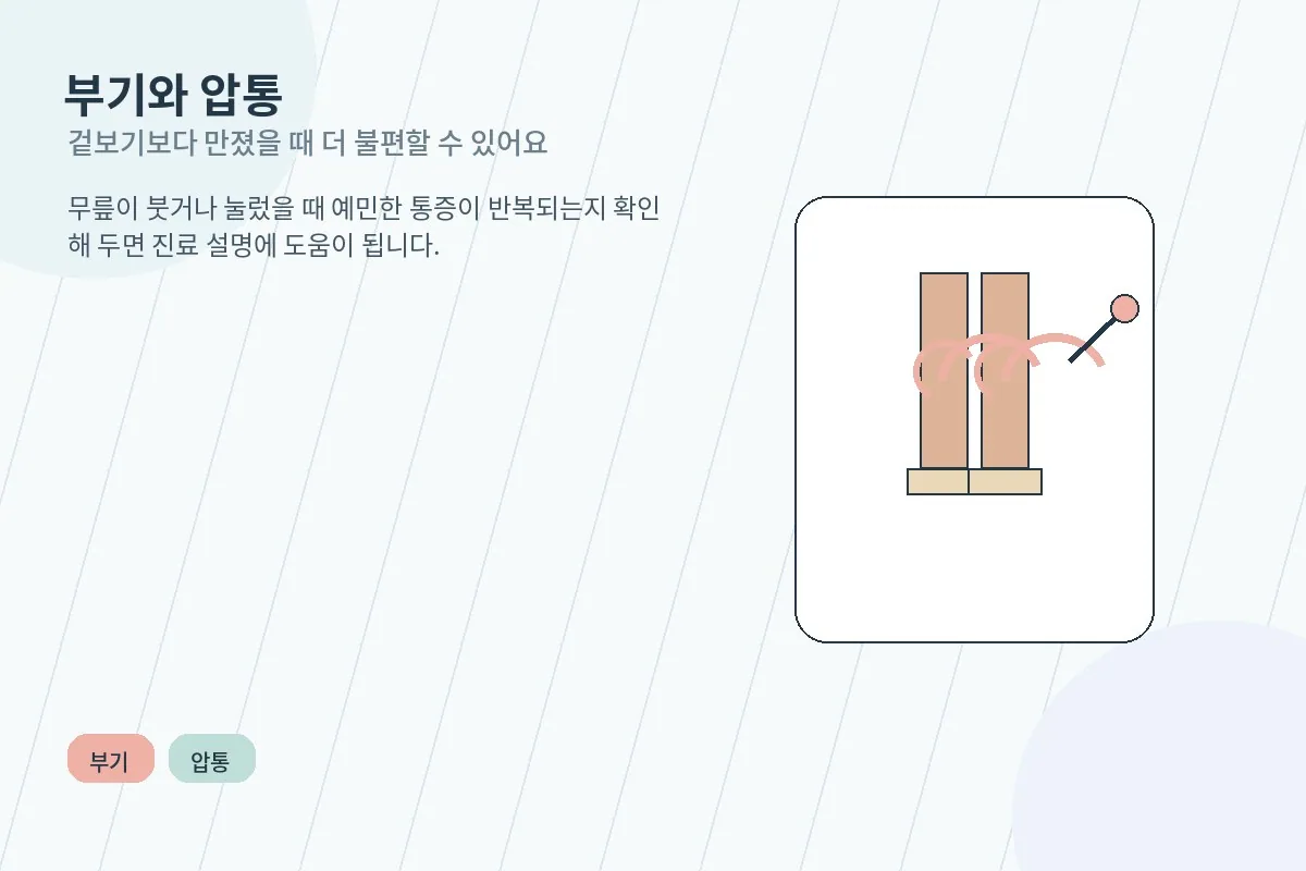 붓고 눌렀을 때 아픈 무릎