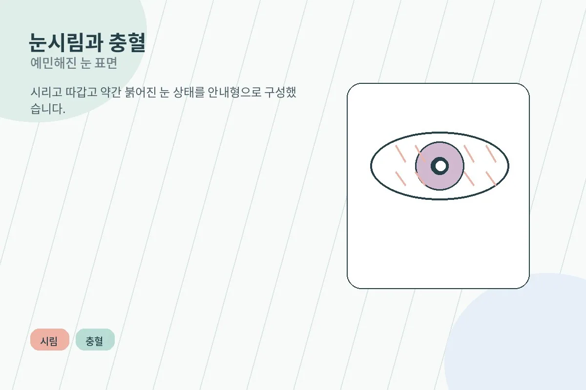 눈시림과 가벼운 충혈을 설명하는 안내 이미지