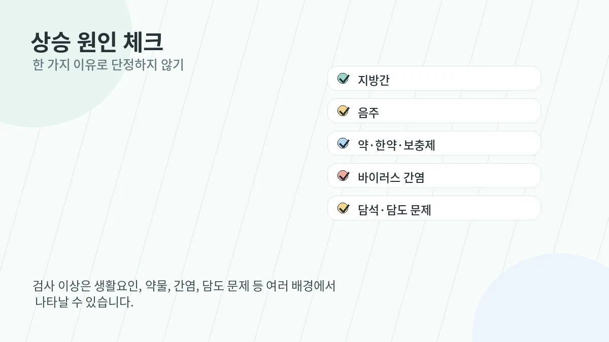 간수치 상승 원인을 정리한 체크리스트