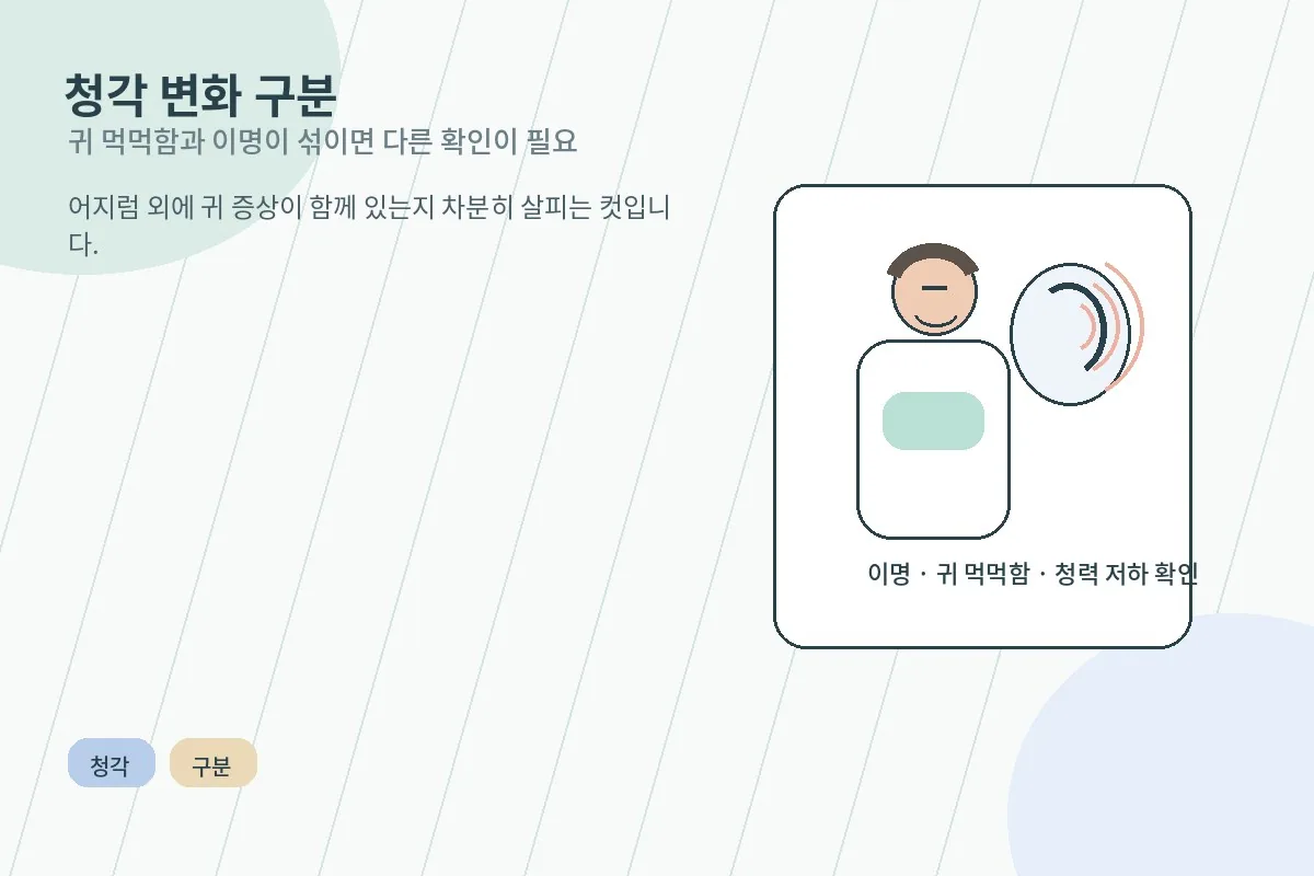 귀 먹먹함과 이명 같은 청각 변화를 함께 구분하는 설명형 이미지