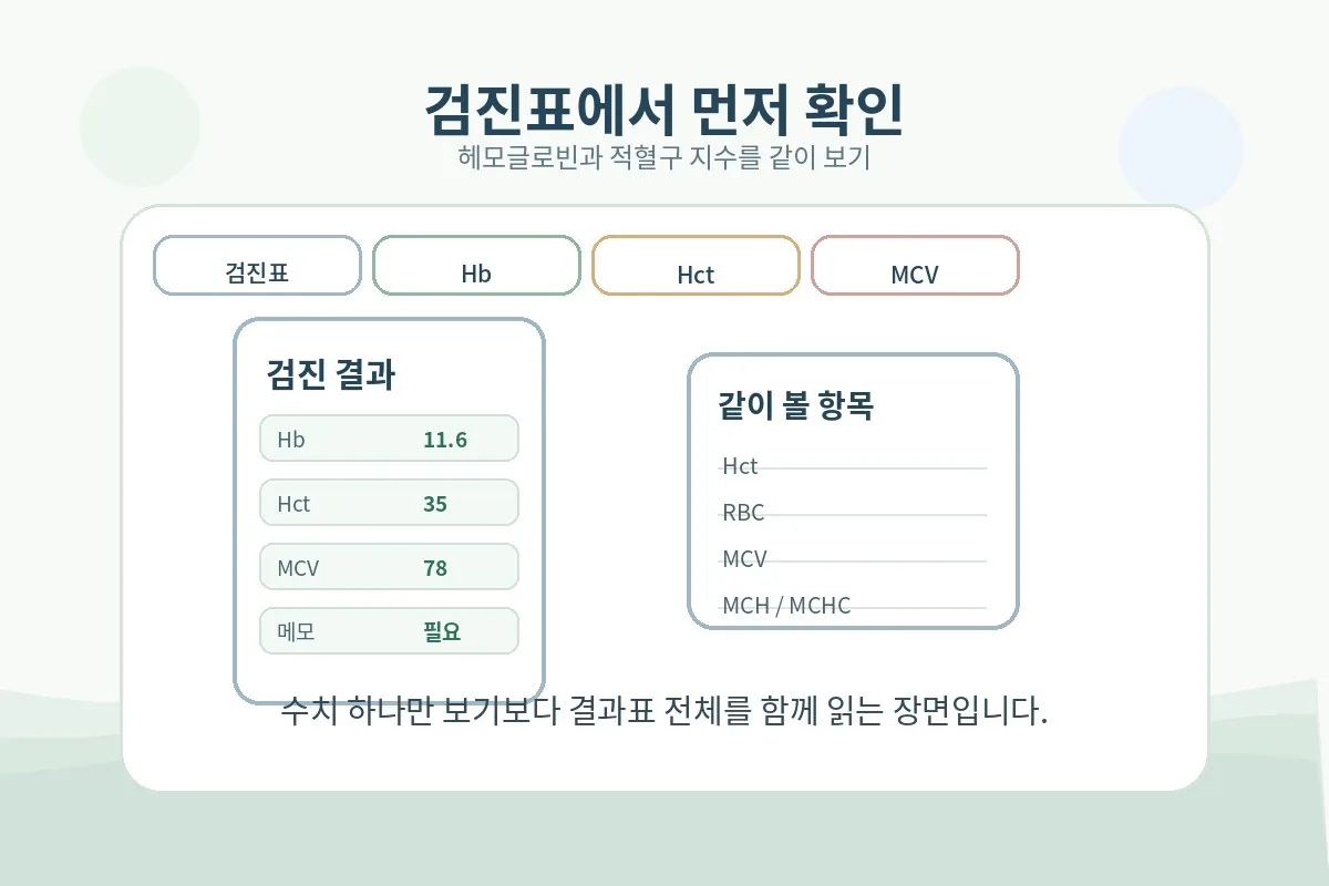 건강검진 결과표에서 헤모글로빈과 적혈구 지수를 함께 확인하는 대표 장면