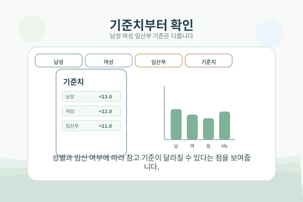 성인 남성과 여성의 헤모글로빈 기준치를 비교해 보는 안내 이미지