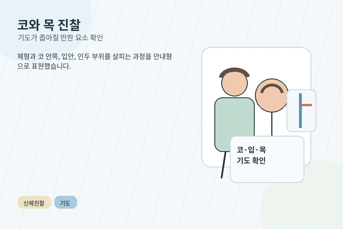 코와 입안, 목 주변 기도를 진찰하는 과정을 설명하는 안내 이미지