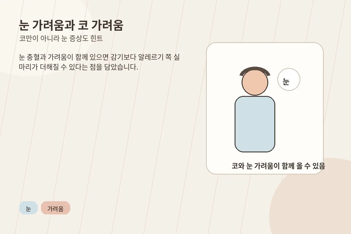 눈 가려움과 코 가려움이 함께 오는 비염 상황을 설명하는 이미지