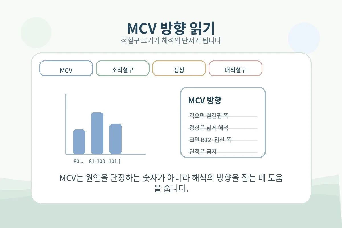 MCV 수치로 소적혈구 정적혈구 대적혈구 방향을 읽는 안내 이미지