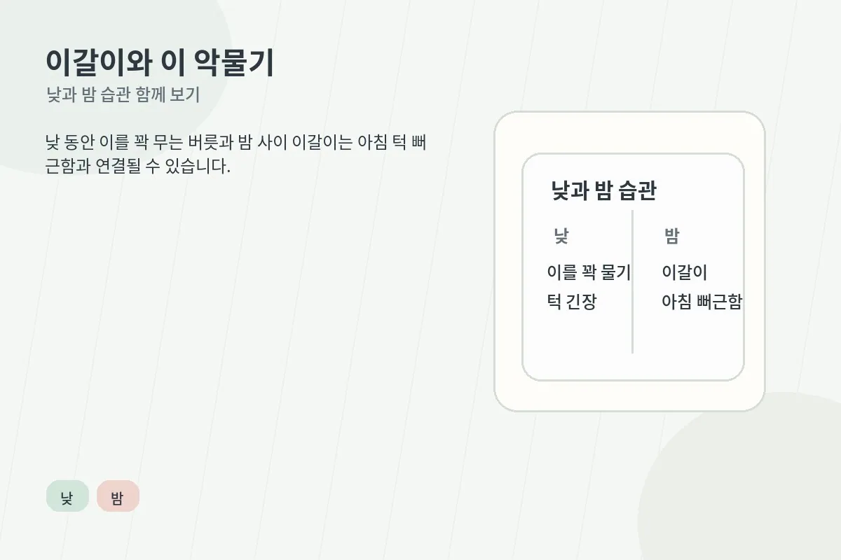 이갈이와 이 악물기 습관이 턱관절에 부담을 줄 수 있음을 설명하는 이미지