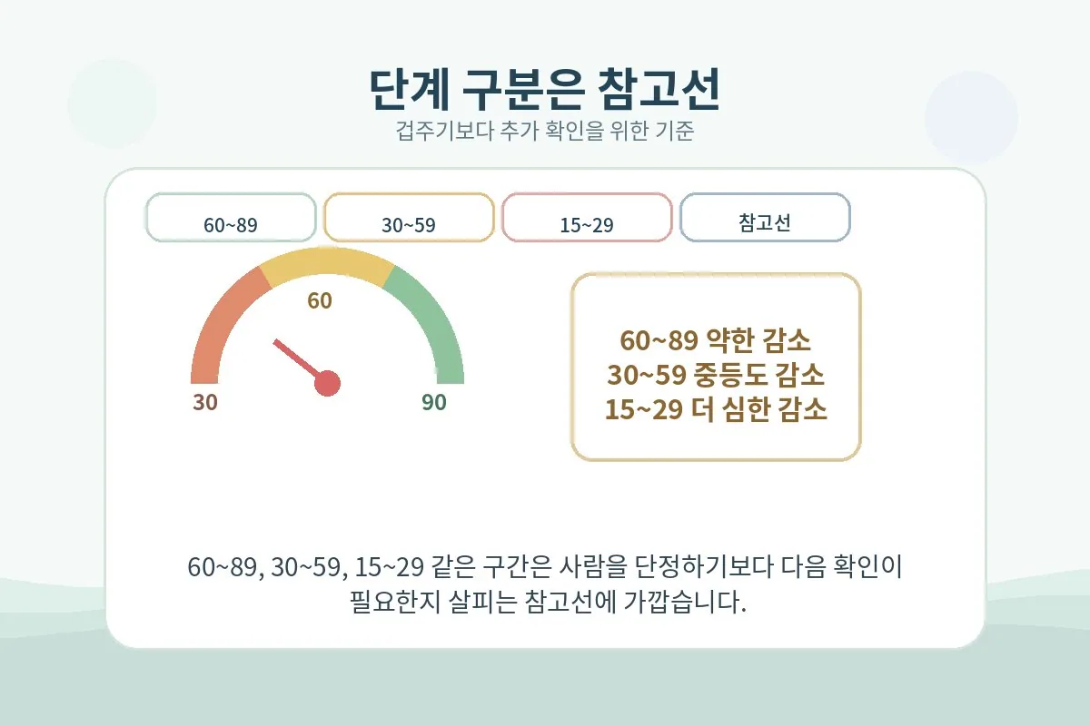 eGFR 단계 범주를 공포 없이 참고선으로 설명하는 이미지