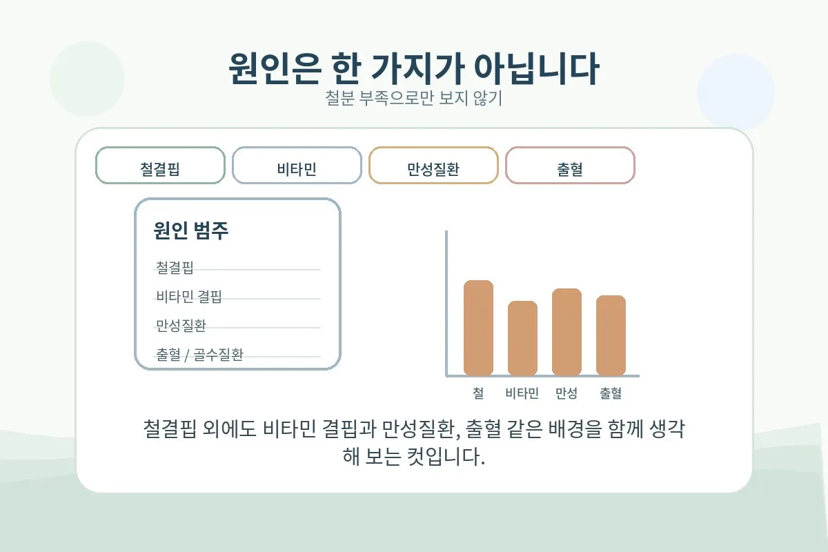 철결핍 비타민 부족 만성질환 출혈 등 다양한 빈혈 원인 범주를 정리한 장면