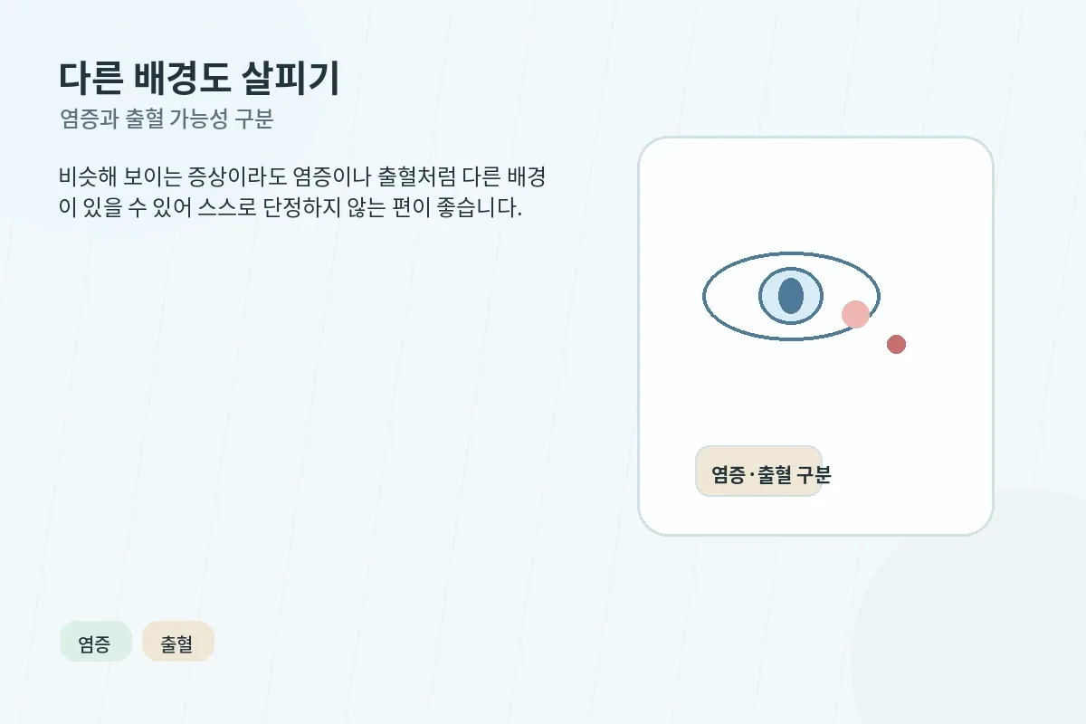 소변 냄새 변화와 불편감을 함께 설명하는 안내형 이미지
