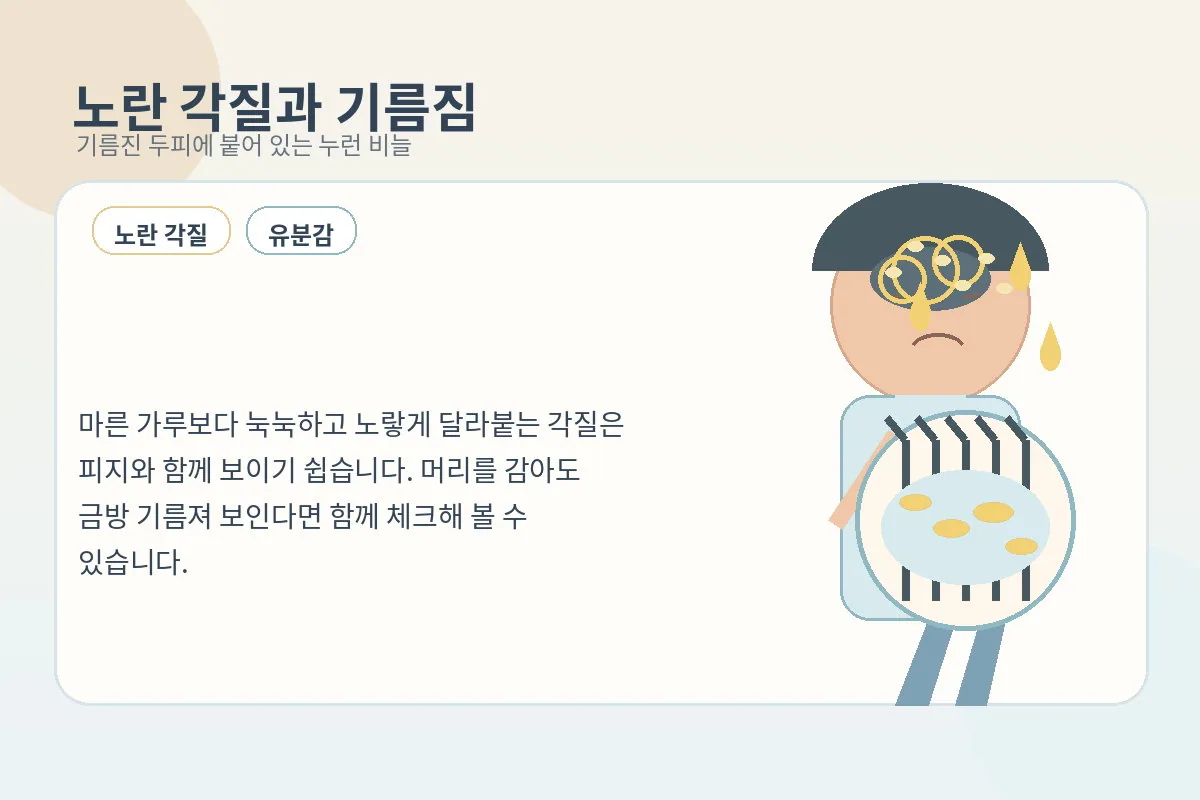 기름진 노란 각질이 엉겨 붙은 두피 상태를 설명하는 이미지